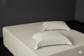 3-Piece Bed Sheet Solid Set
